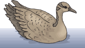 Brown Goose Swimming Clip Art